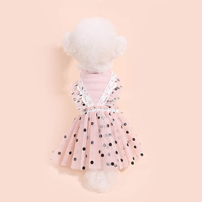 Polka Dot Lace Mesh Dog Tutu Dress