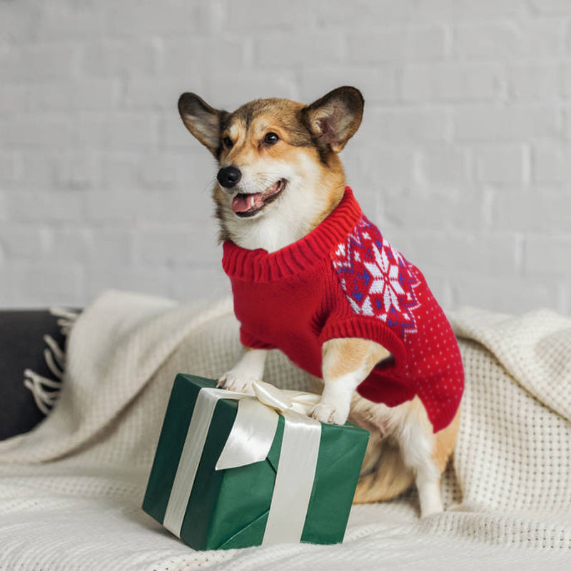 Turtleneck Christmas Dog Knit Sweater