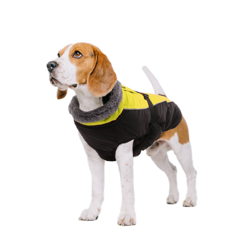 Waterproof Solid Color Stitching Dog Jacket