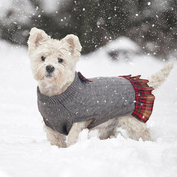 British Style Dog Sweater Dress