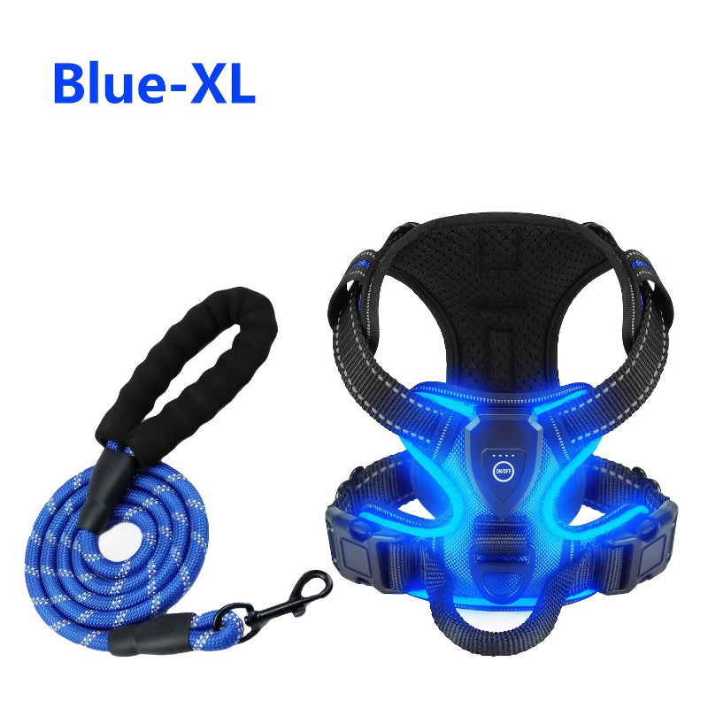 2‑Pack Night Light Dog Harness Set