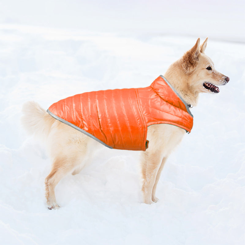 Reversible Waterproof Dog Jacket for Winter