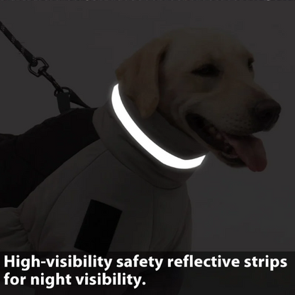 ✨Hot New Arrivals🔥Dog Down Jacket