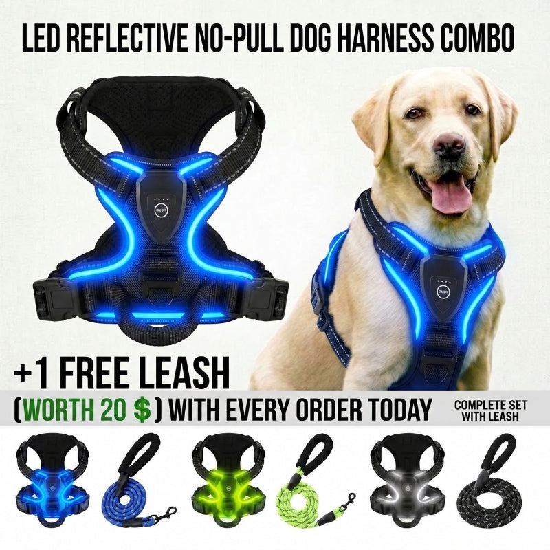 LED Night-Walk Safety Set