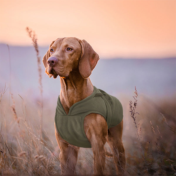 Canvas Cold Weather Dog Coat for Winter