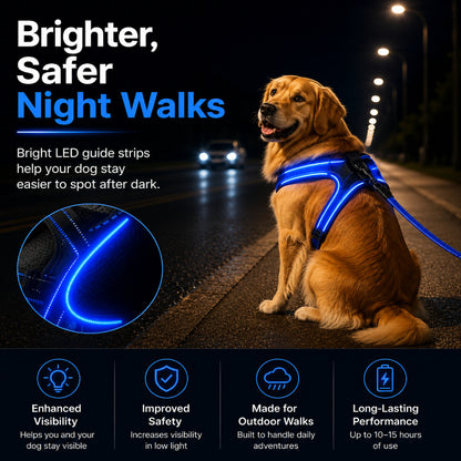 LED Night-Walk Safety Set