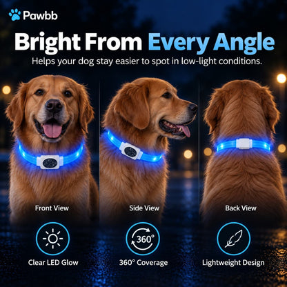 LED Night-Walk Safety Collar