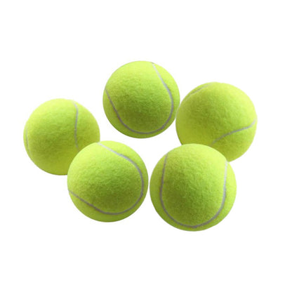 Automatic Dog Ball Launcher