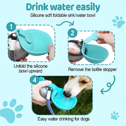 Ins Style Sea Salt Blue Spherical Pet Water Bottle, Leakproof Drop-proof Transparent Cup with Lanyard