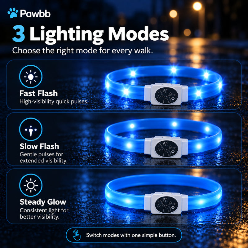 LED Night-Walk Safety Collar