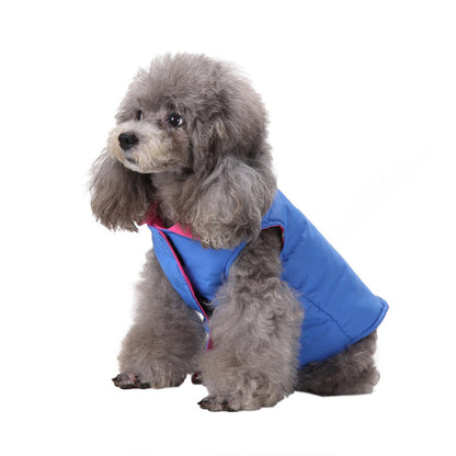 Reversible Color Dog Jacket with D-ring