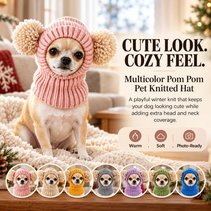 Multicolor Pom Pom Pet Knitted Hat