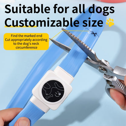 USB Rechargeable LED Dog Collar
