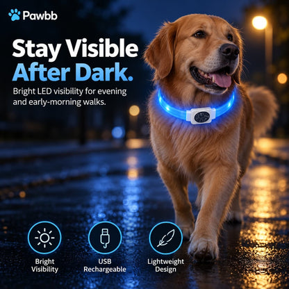LED Night-Walk Safety Collar