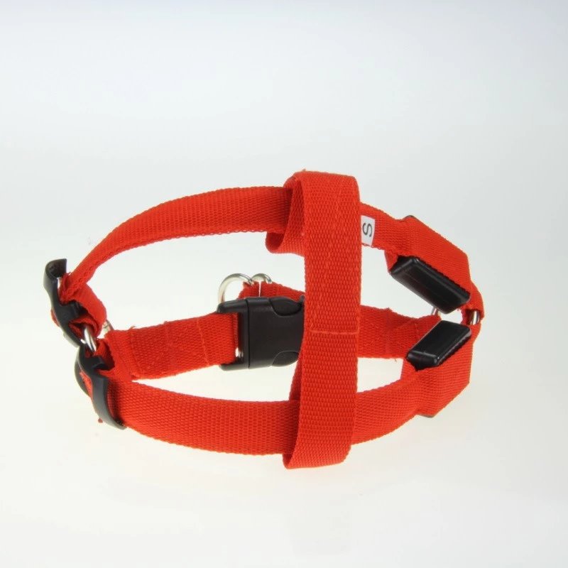 LED Light-Up Dog Harness