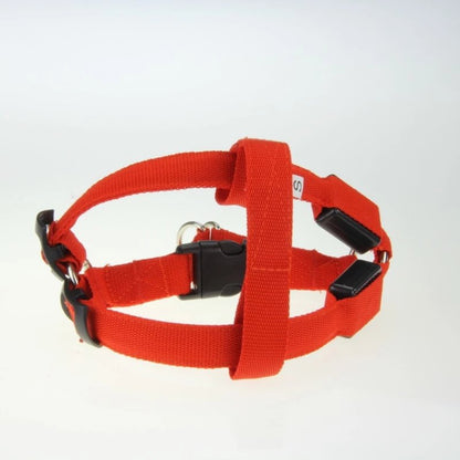 LED Light-Up Dog Harness