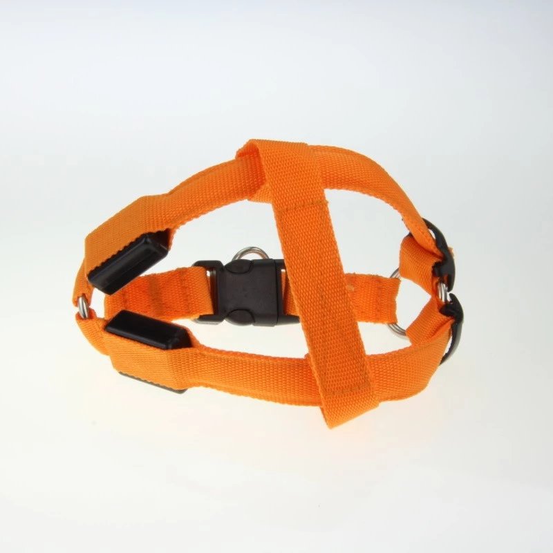 LED Light-Up Dog Harness