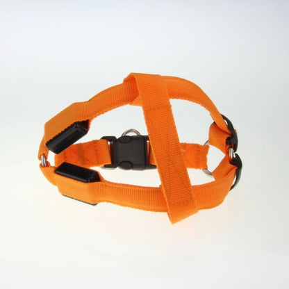 LED Light-Up Dog Harness