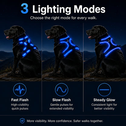 LED Night-Walk Safety Set