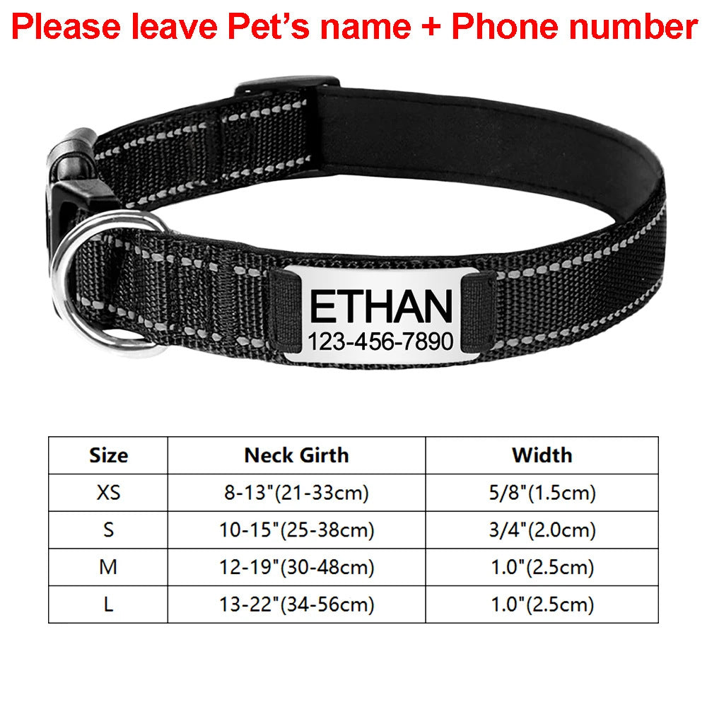 Engraved D-Ring Adjustable Nylon Collar for Small & Medium Dogs