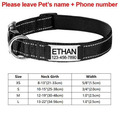 Engraved D-Ring Adjustable Nylon Collar for Small & Medium Dogs