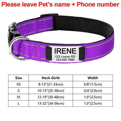 Engraved D-Ring Adjustable Nylon Collar for Small & Medium Dogs