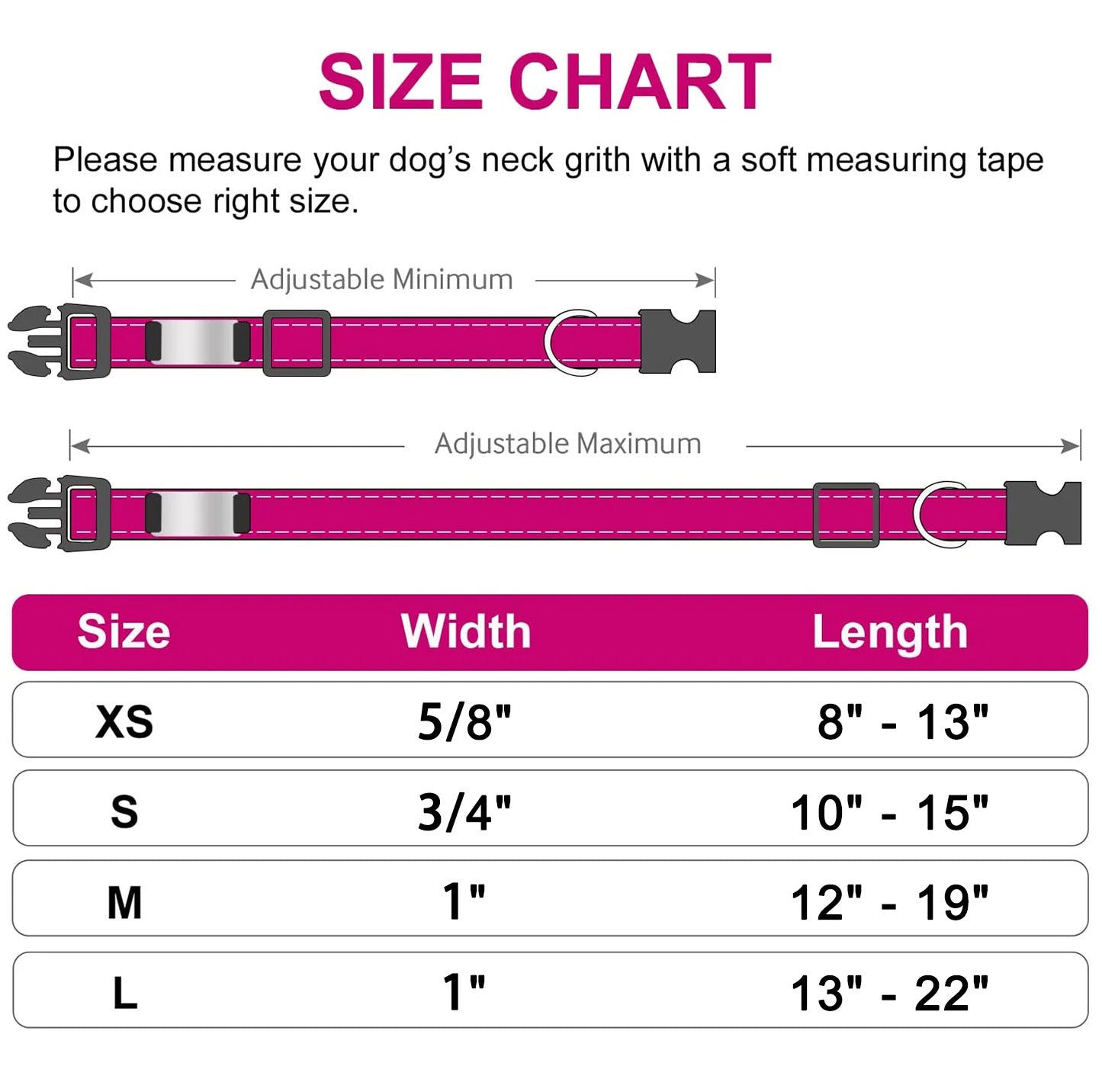 Engraved D-Ring Adjustable Nylon Collar for Small & Medium Dogs