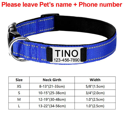 Engraved D-Ring Adjustable Nylon Collar for Small & Medium Dogs