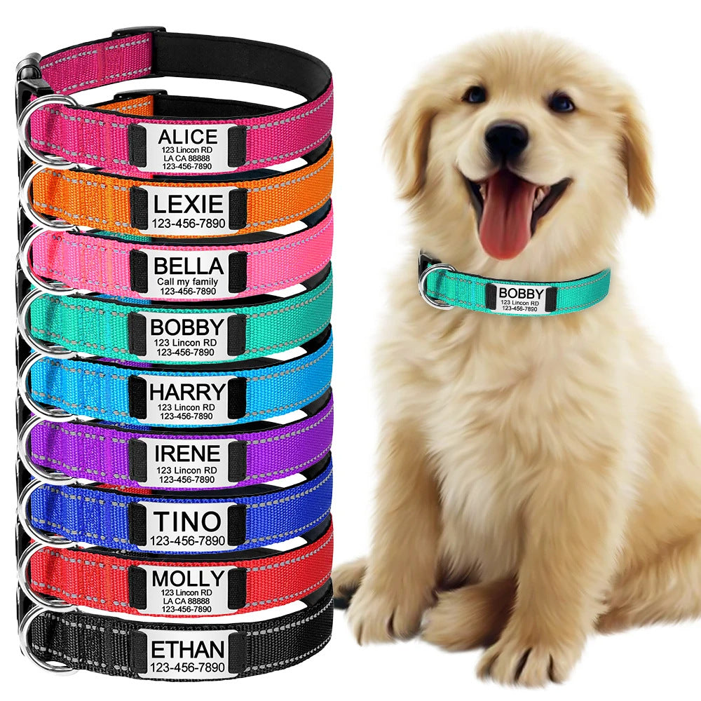 Engraved D-Ring Adjustable Nylon Collar for Small & Medium Dogs