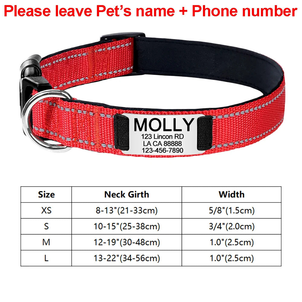 Engraved D-Ring Adjustable Nylon Collar for Small & Medium Dogs