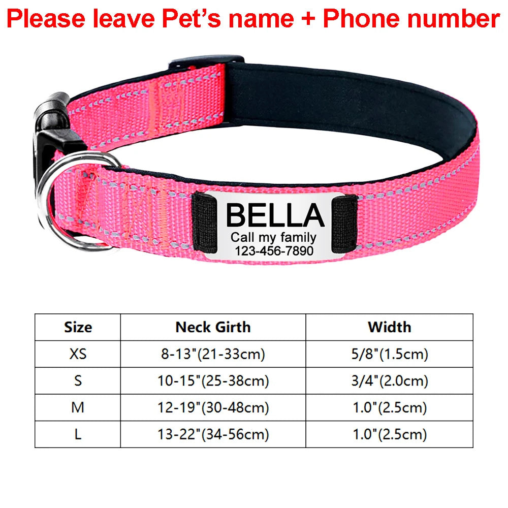 Engraved D-Ring Adjustable Nylon Collar for Small & Medium Dogs