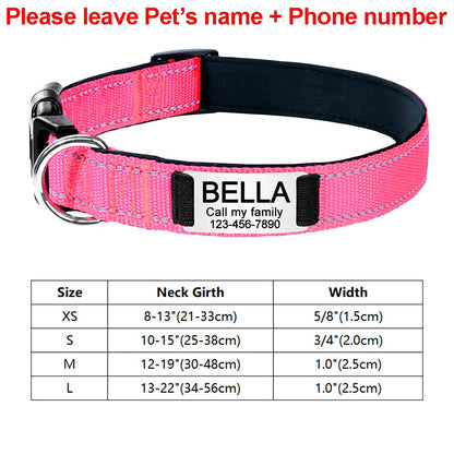Engraved D-Ring Adjustable Nylon Collar for Small & Medium Dogs