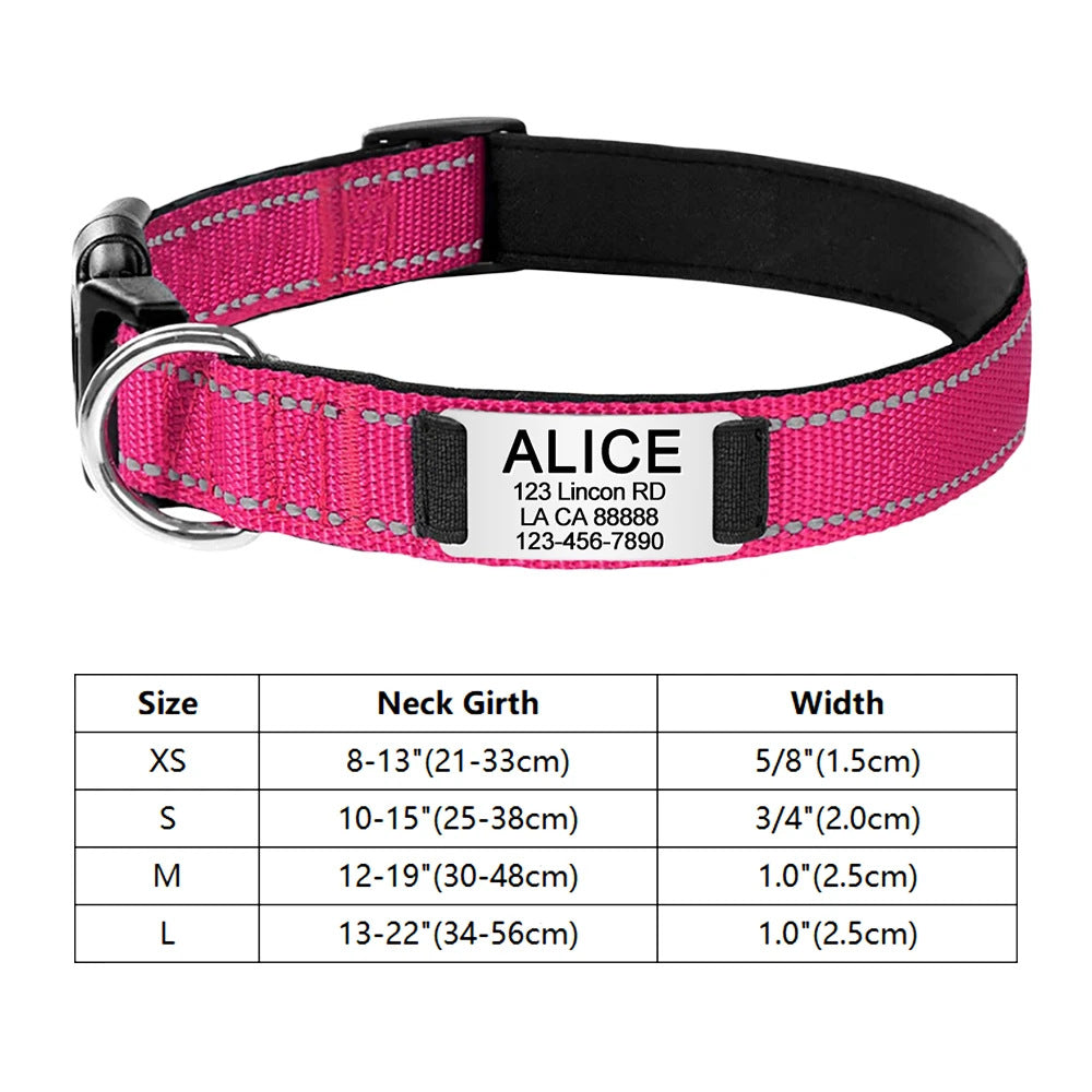 Engraved D-Ring Adjustable Nylon Collar for Small & Medium Dogs