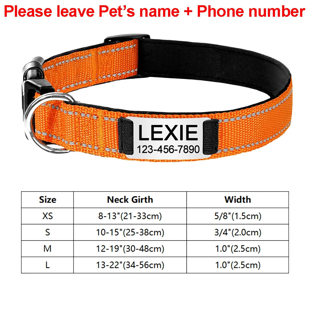 Engraved D-Ring Adjustable Nylon Collar for Small & Medium Dogs