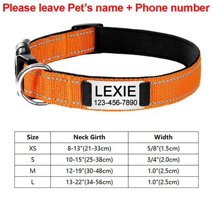Engraved D-Ring Adjustable Nylon Collar for Small & Medium Dogs