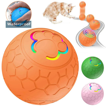 USB (Type C) Automatic Bouncing Rolling Toy Ball
