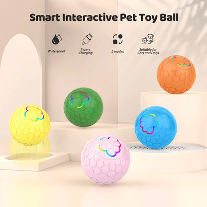USB (Type C) Automatic Bouncing Rolling Toy Ball