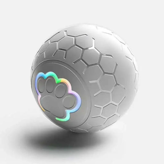 USB (Type C) Automatic Bouncing Rolling Toy Ball