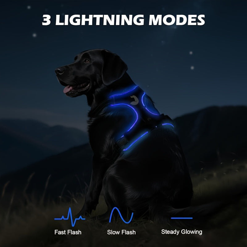 2‑Pack Night Light Dog Harness Set