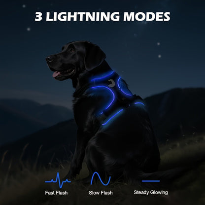 2‑Pack Night Light Dog Harness Set