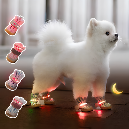 Dog Glowing shoes for Small Dogs (4 Pack)