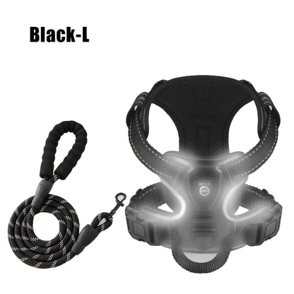 2‑Pack Night Light Dog Harness Set