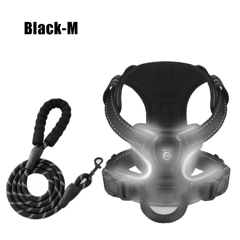 2‑Pack Night Light Dog Harness Set