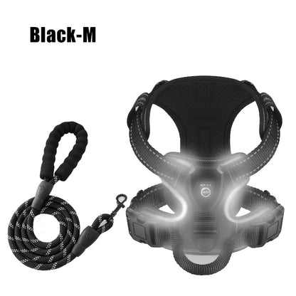 2‑Pack Night Light Dog Harness Set