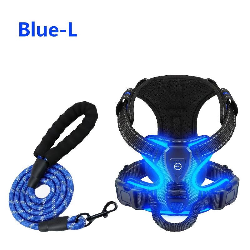 2‑Pack Night Light Dog Harness Set