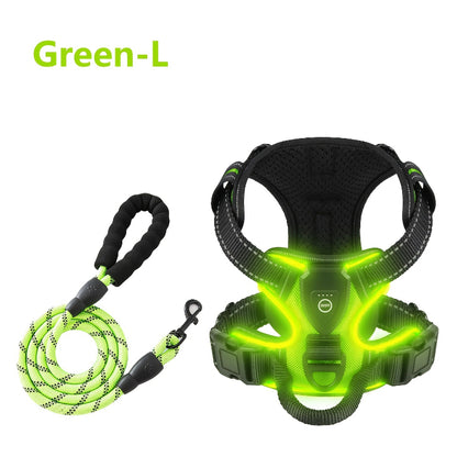 2‑Pack Night Light Dog Harness Set