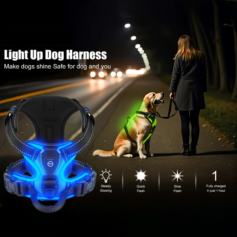 2‑Pack Night Light Dog Harness Set