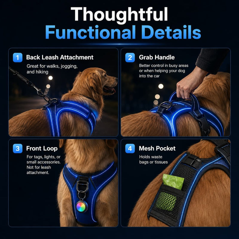 LED Night-Walk Safety Set