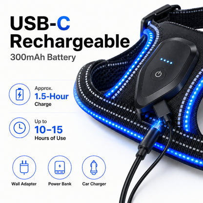 LED Night-Walk Safety Set