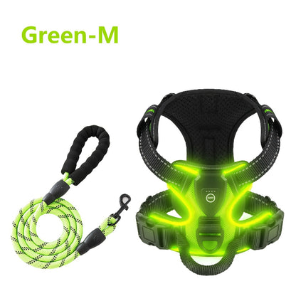 2‑Pack Night Light Dog Harness Set